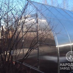 Смирнова Евгения Дмитриевна, г. Череповец